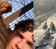 Hollyoaks star Oscar Curtis was hospitalised after being bitten by a monkey in India.