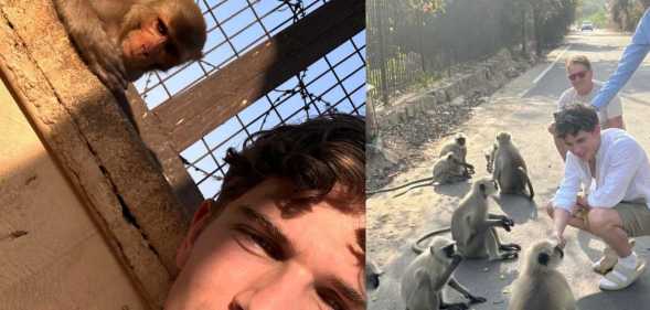 Hollyoaks star Oscar Curtis was hospitalised after being bitten by a monkey in India.