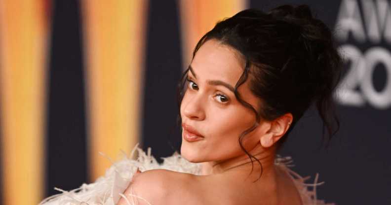 Spanish pop star Rosalía has said her type of men is 'gay men'.