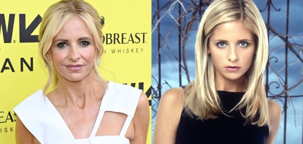 Sarah Michelle Gellar rose to fame as Buffy the Vampire Slayer