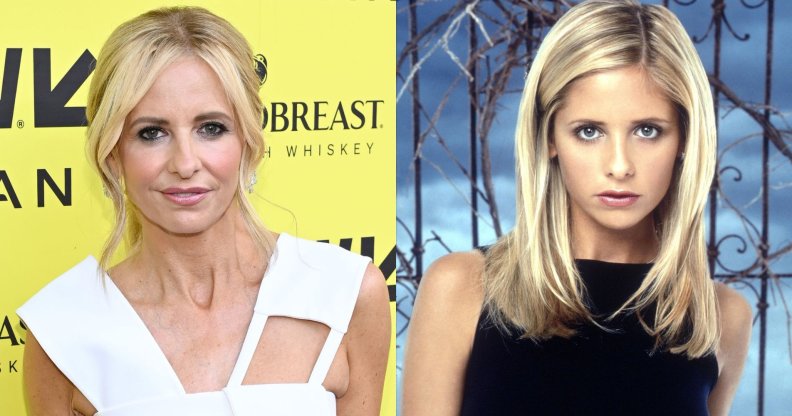 Sarah Michelle Gellar rose to fame as Buffy the Vampire Slayer