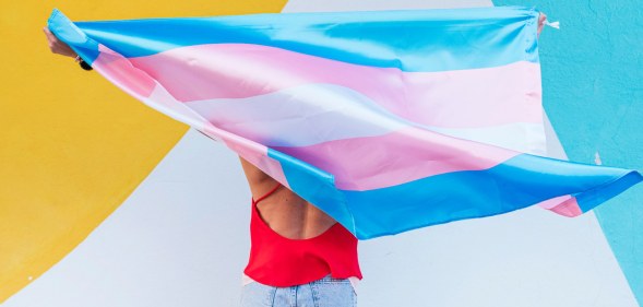Person holding a trans pride flag