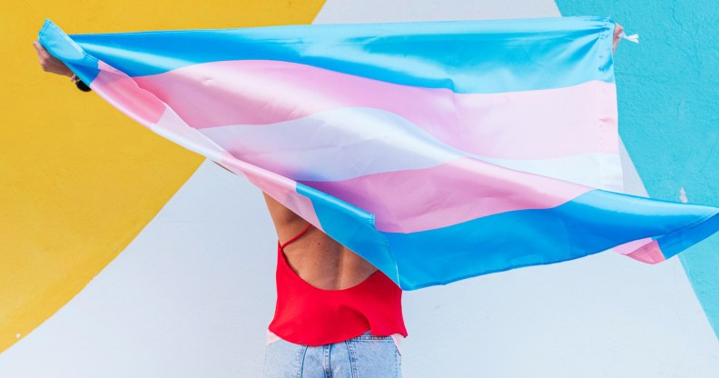 Person holding a trans pride flag