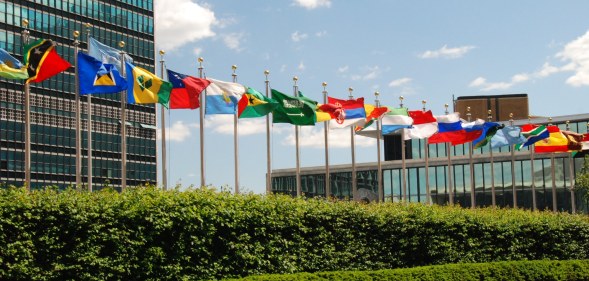 Picture Of United Nations Flags
