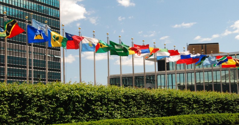 Picture Of United Nations Flags
