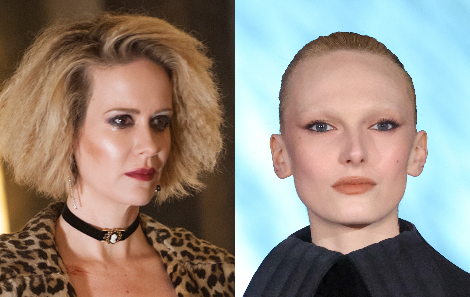 All we know about American Horror Story 13 as Alex Consani joins