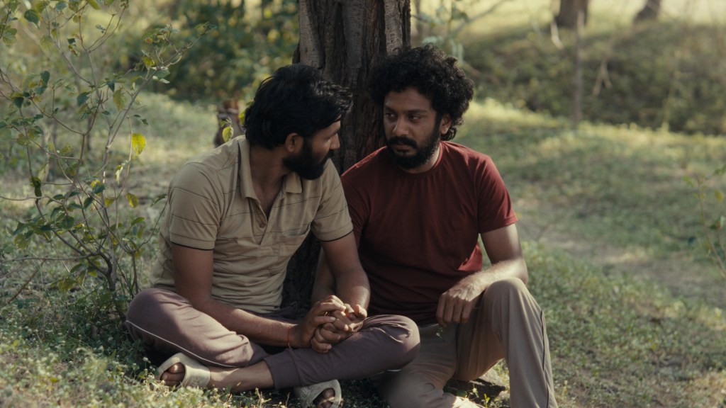 Cactus Pears still: two men sat under a tree holding hands tightly