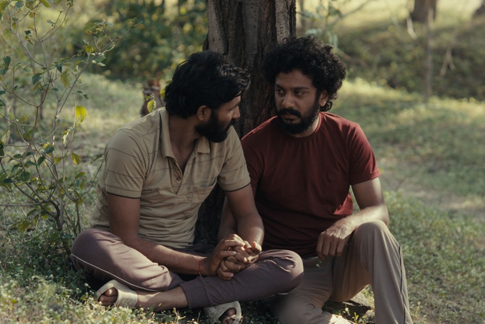 Cactus Pears still: two men holding hand, sat under a tree