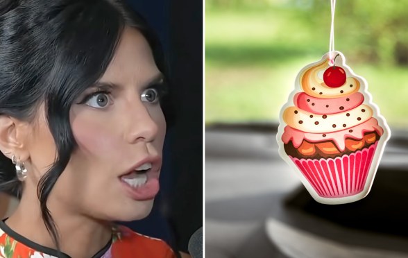 A conservative podcaster claimed air fresheners make you gay