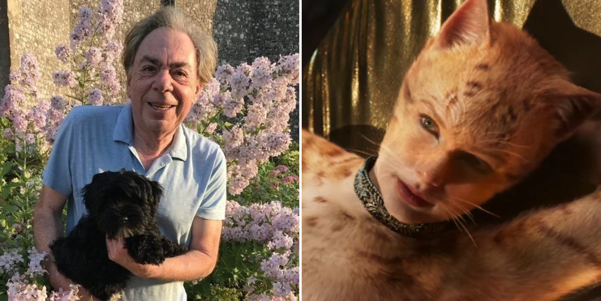 Andrew Lloyd Webber Got Therapy Dog After 'Appalling' Cats Movie