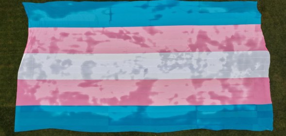 world's biggest trans flag