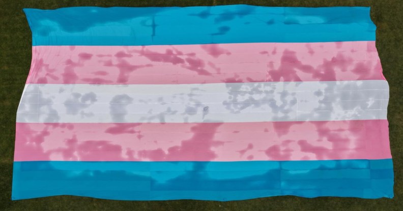 world's biggest trans flag
