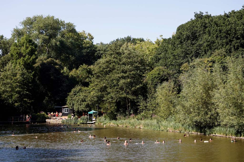 People have a swim on a pond in Hampstead Heath park