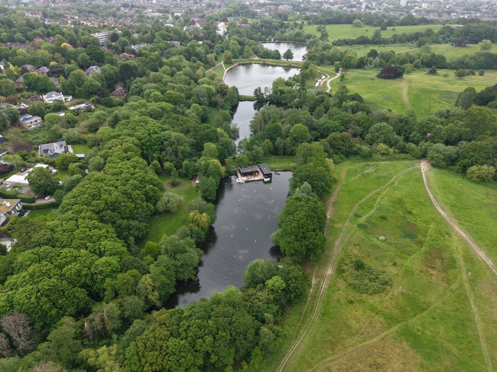 Aerial image of Hampstead Heath's Ladies Pond