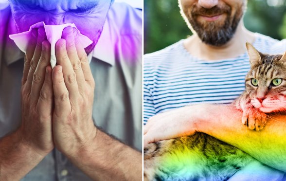 man blowing his nose/man holding a cat
