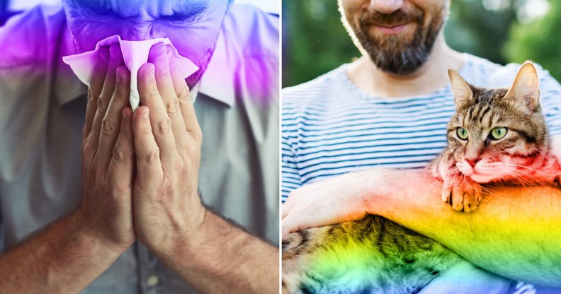 man blowing his nose/man holding a cat