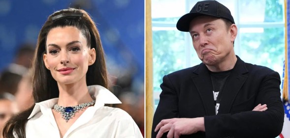 Anne Hathaway and Elon Musk