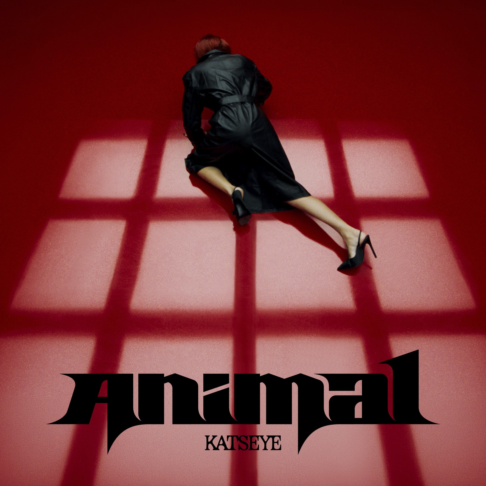 Katseye запалює з синглом Animal: Саундтрек, який ми так чекали!