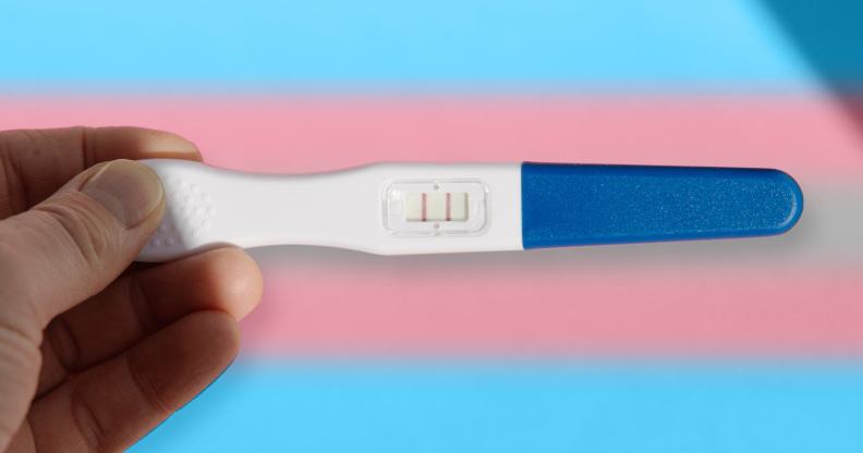 person holding a pregnancy test over trans flag colours