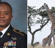 Rod Joseph reckons giraffes prove people are 'born straight'