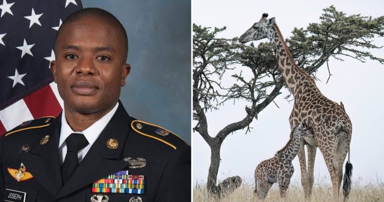 Rod Joseph reckons giraffes prove people are 'born straight'