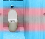 bathroom stall with trans pride colours