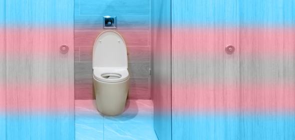 bathroom stall with trans pride colours
