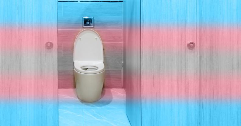 bathroom stall with trans pride colours