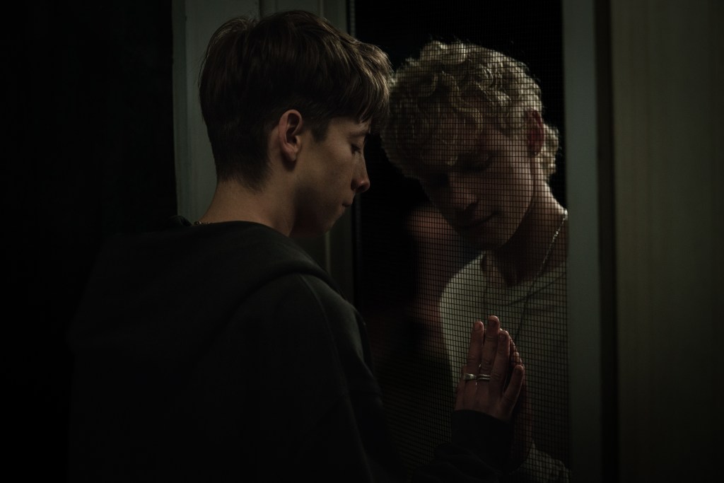 Naim (Joe Bird) and Ryan (Stacy Claisen) either side of a mesh door.