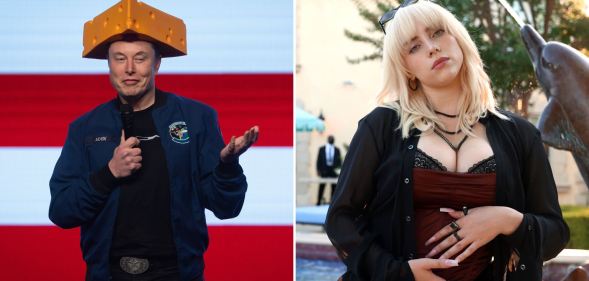 Elon Musk asked Grok to roast Billie Eilish