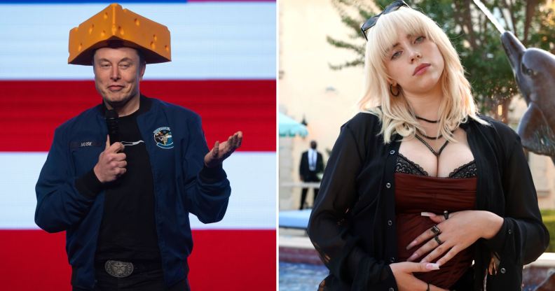 Elon Musk asked Grok to roast Billie Eilish