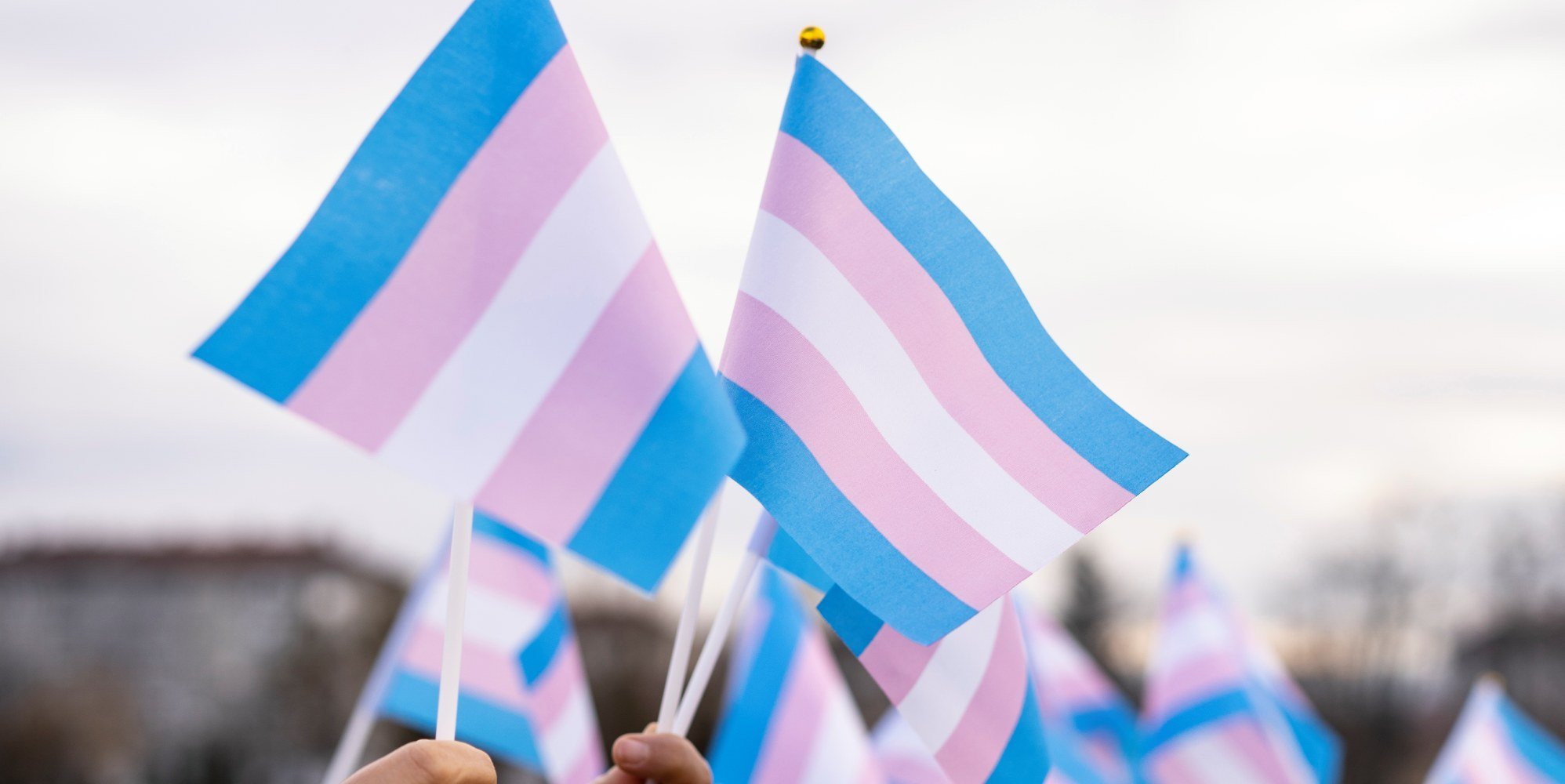 A row of trans flags held up in the sky.