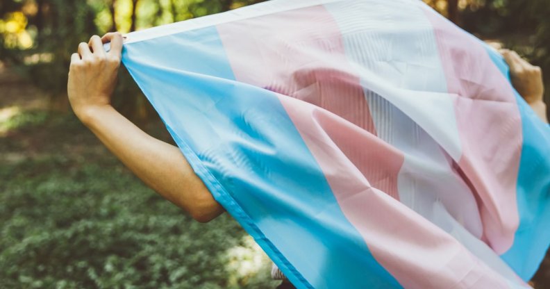 A person holding a trans flag.