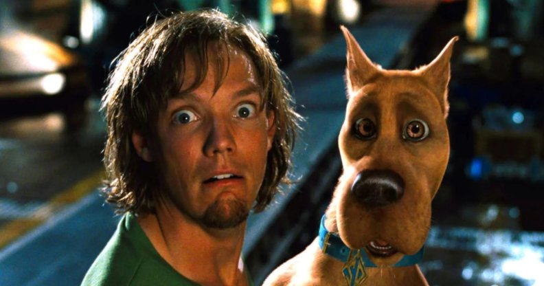 Matthew Lillard played Shaggy in the live-action Scooby-Doo films