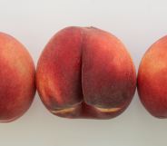 three peach fruits
